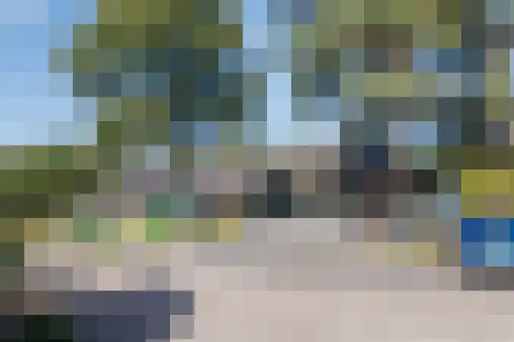 't Hertenspoor 131 Diever thumbnail 38