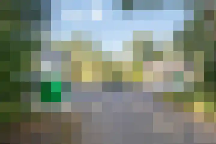't Hertenspoor 131 Diever thumbnail 39