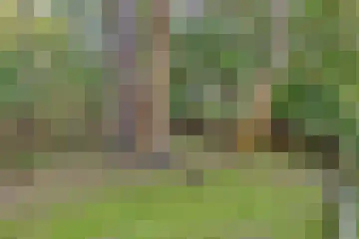 't Hertenspoor 131 Diever thumbnail 4