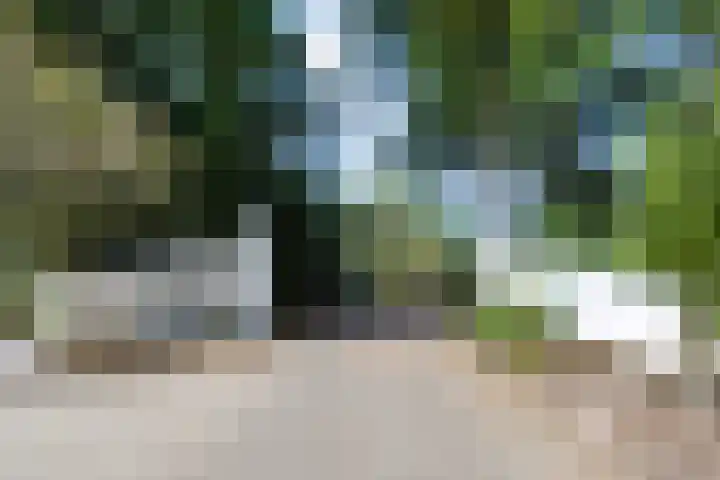 't Hertenspoor 131 Diever thumbnail 40