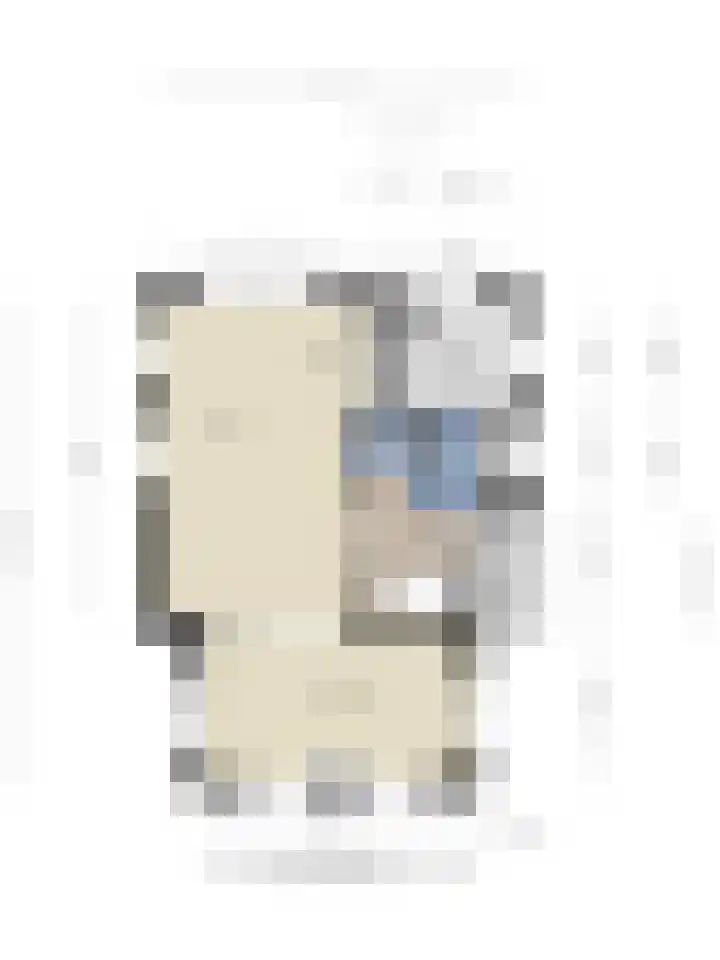 't Hertenspoor 131 Diever thumbnail 41