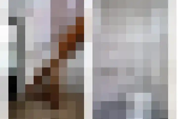 't Hertenspoor 131 Diever thumbnail 5