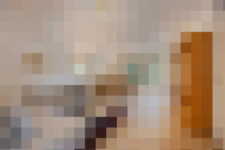 't Hertenspoor 134 Diever thumbnail 11