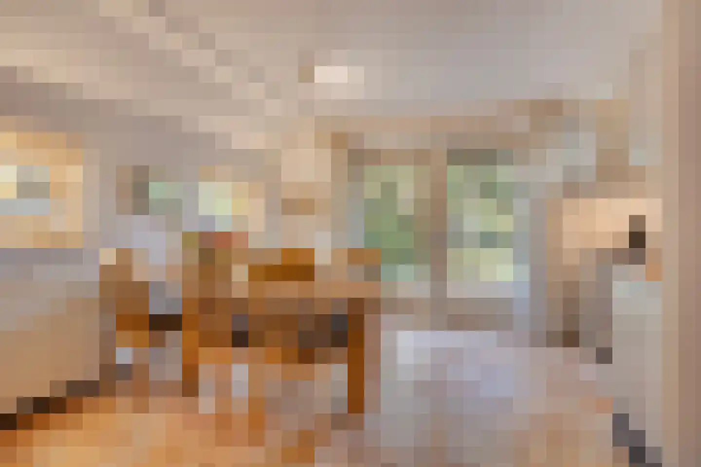 't Hertenspoor 134 Diever thumbnail 12