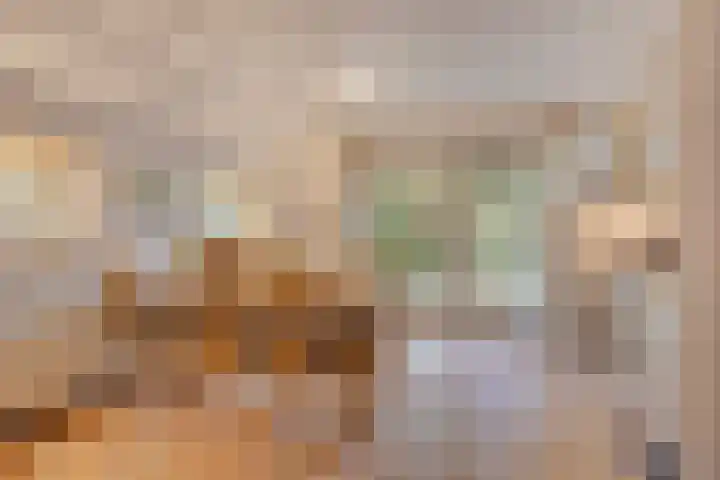 't Hertenspoor 134 Diever thumbnail 12