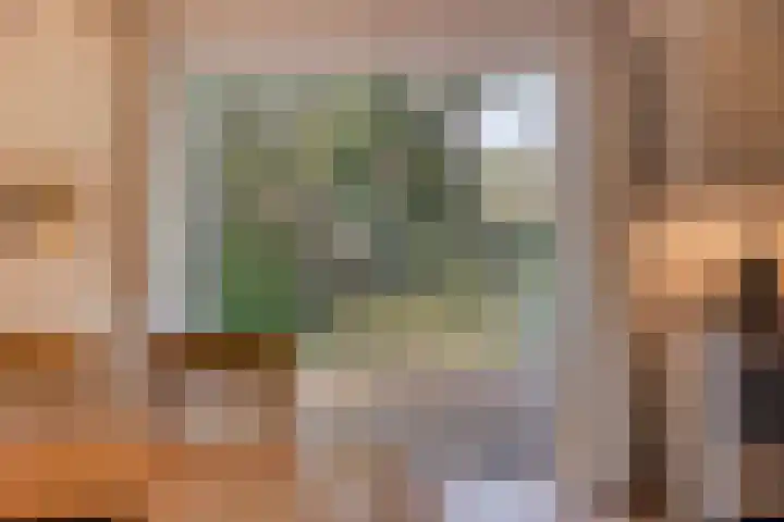 't Hertenspoor 134 Diever thumbnail 13