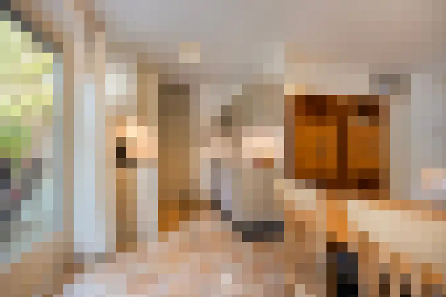 't Hertenspoor 134 Diever thumbnail 14