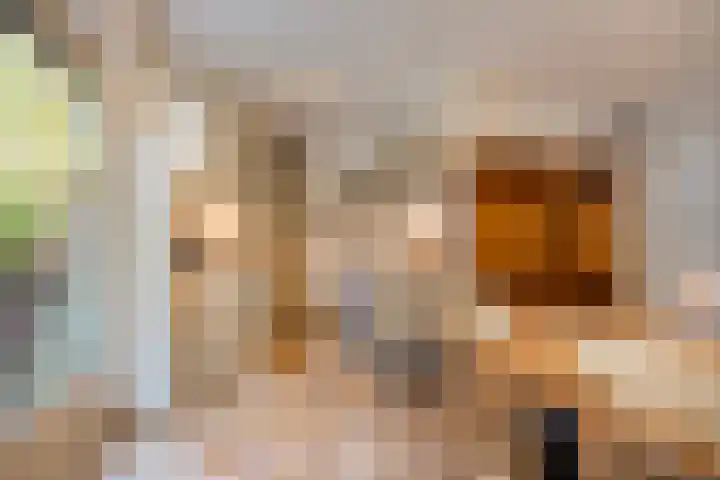 't Hertenspoor 134 Diever thumbnail 14
