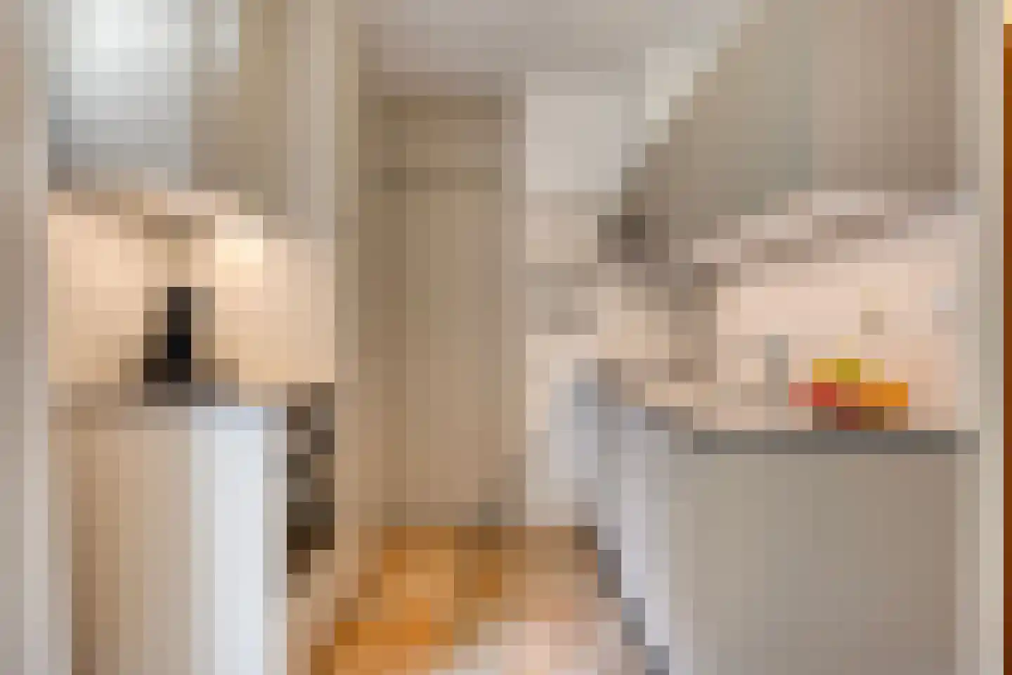 't Hertenspoor 134 Diever thumbnail 15