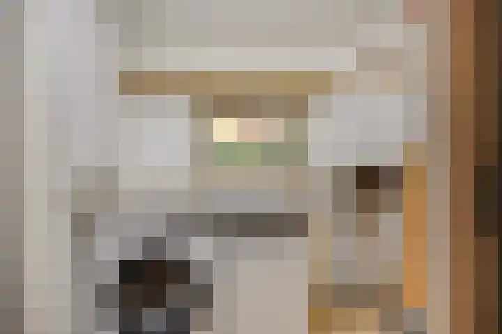 't Hertenspoor 134 Diever thumbnail 16