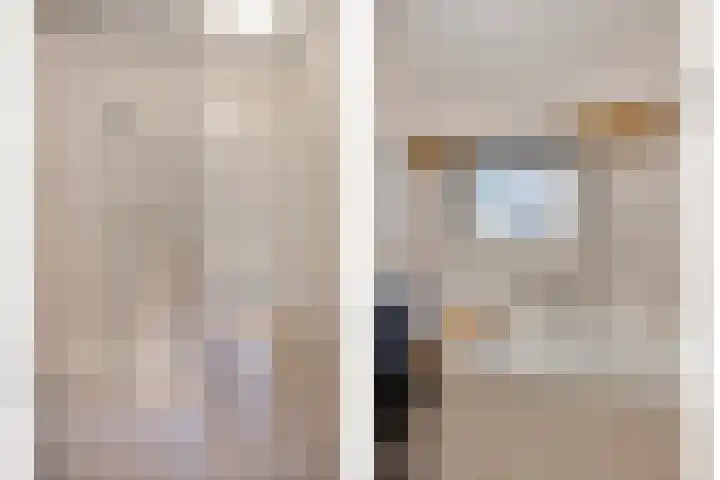't Hertenspoor 134 Diever thumbnail 19