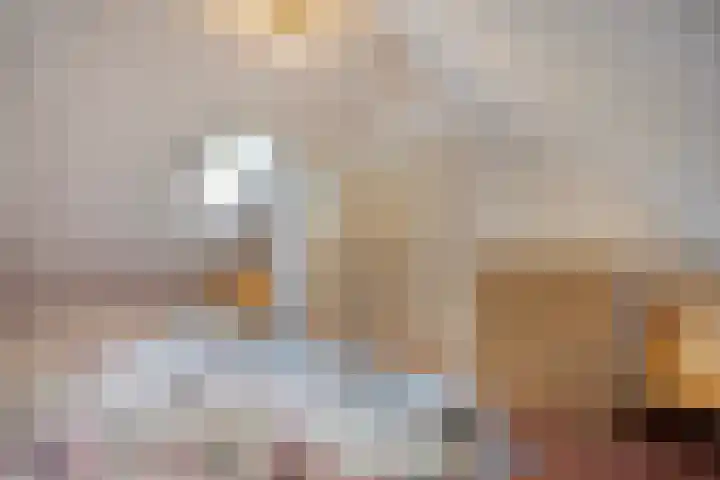 't Hertenspoor 134 Diever thumbnail 22