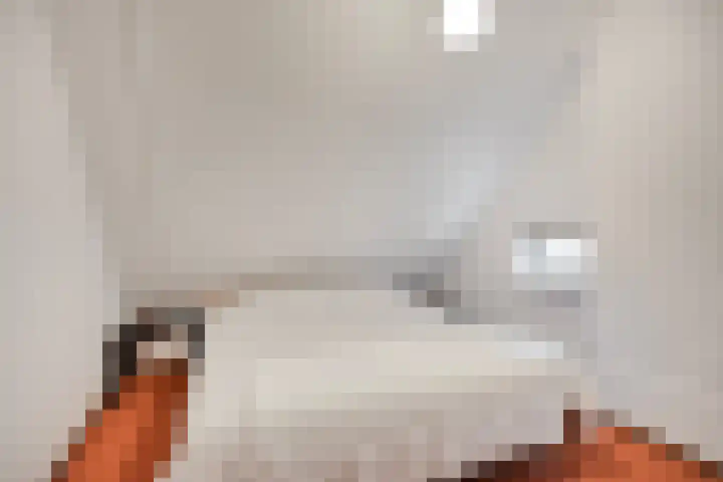 't Hertenspoor 134 Diever thumbnail 24