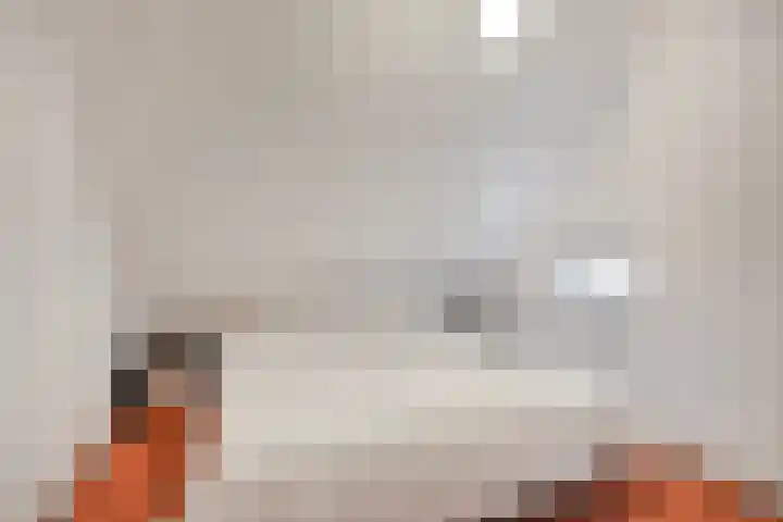 't Hertenspoor 134 Diever thumbnail 24