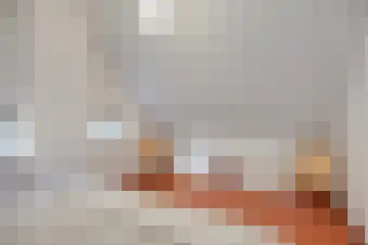 't Hertenspoor 134 Diever thumbnail 25