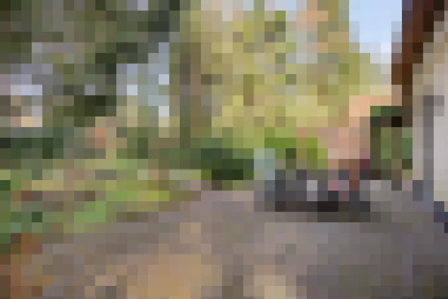 't Hertenspoor 134 Diever thumbnail 27