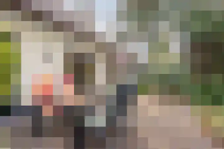 't Hertenspoor 134 Diever thumbnail 28
