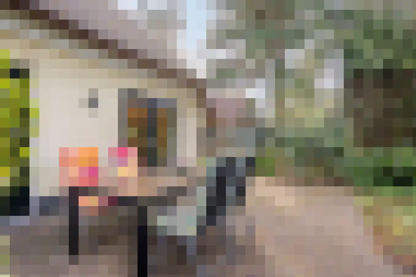 't Hertenspoor 134 Diever thumbnail 28