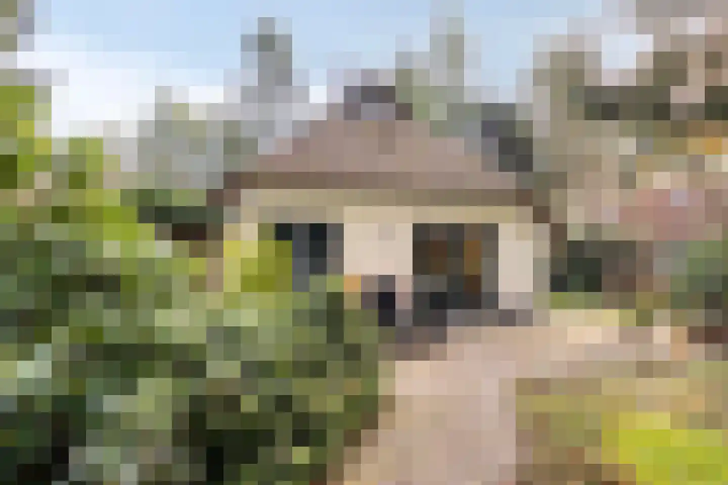 't Hertenspoor 134 Diever thumbnail 29