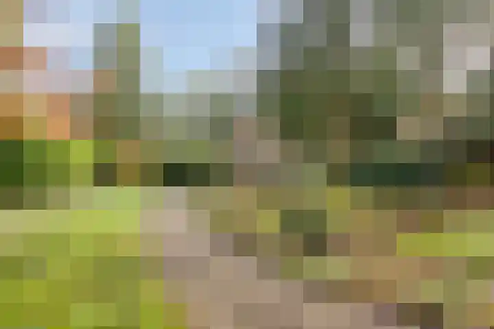 't Hertenspoor 134 Diever thumbnail 30
