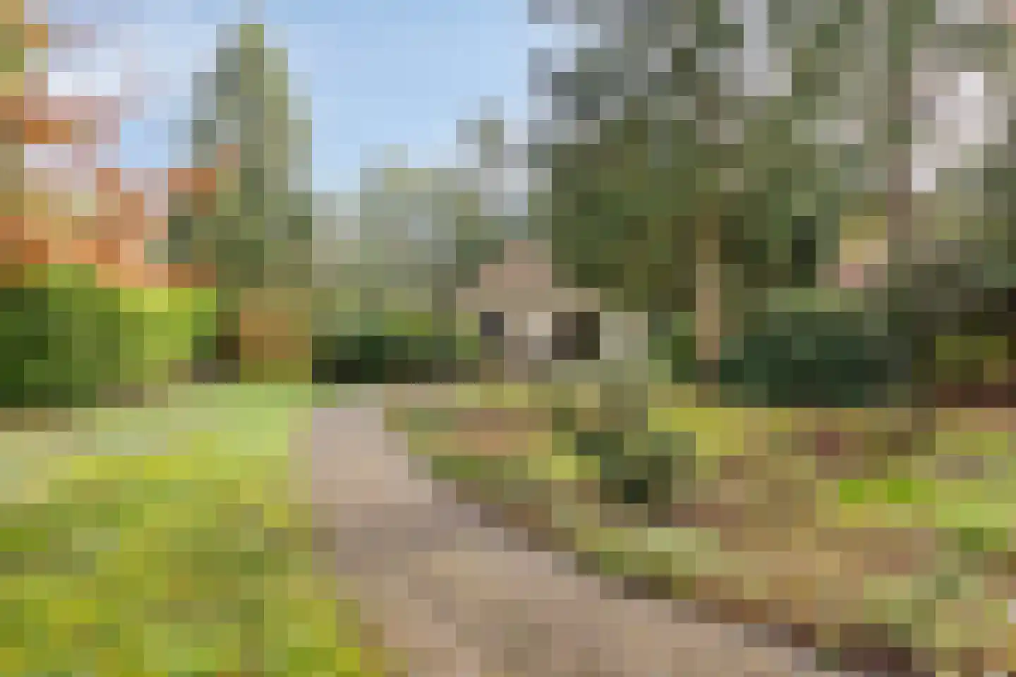 't Hertenspoor 134 Diever thumbnail 30