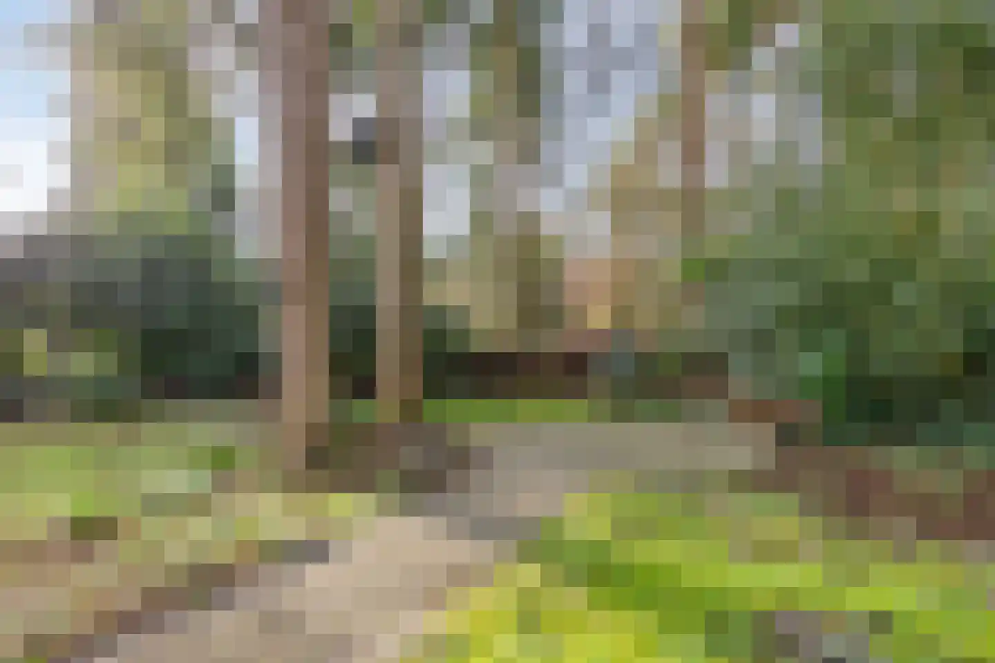 't Hertenspoor 134 Diever thumbnail 31