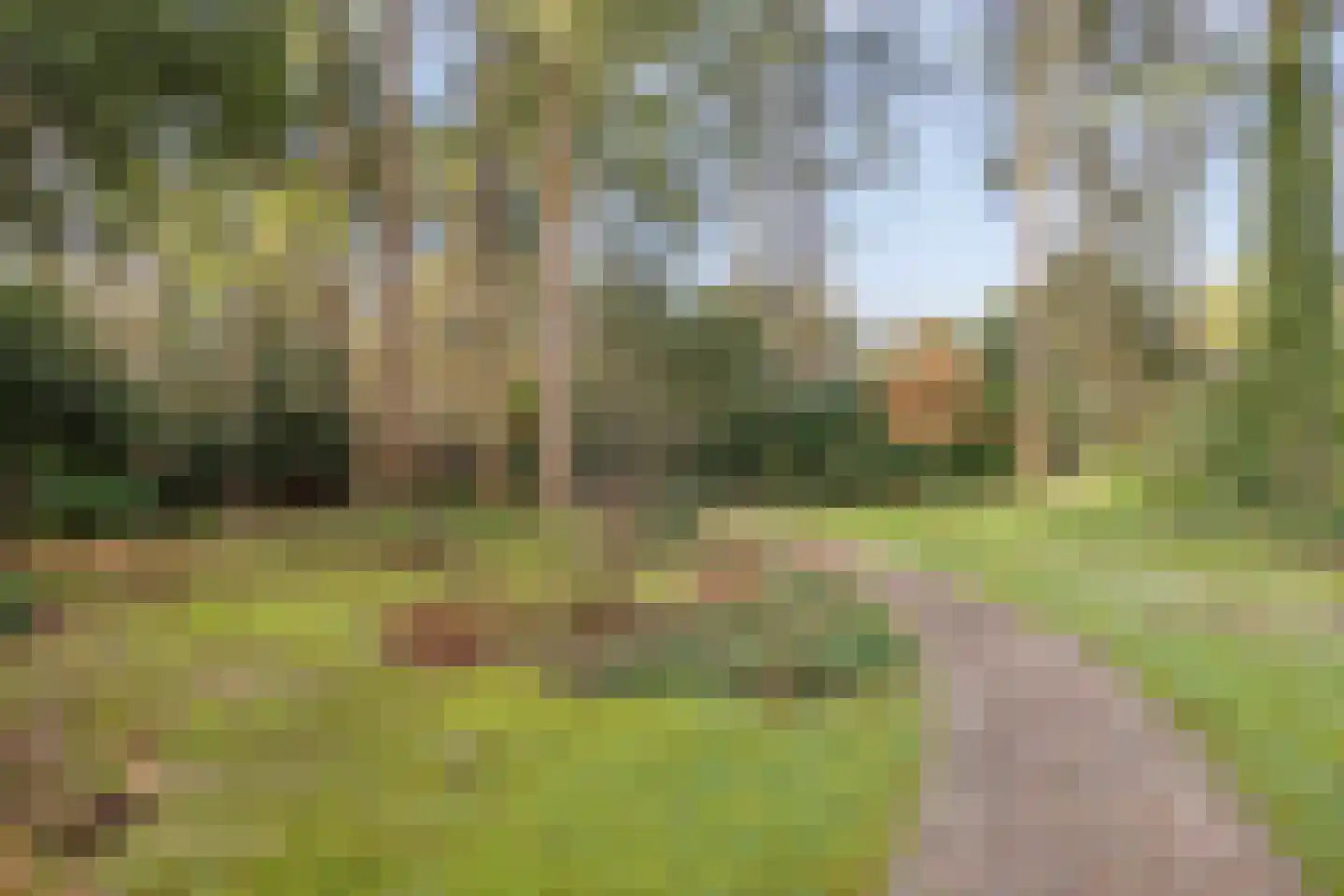 't Hertenspoor 134 Diever thumbnail 32