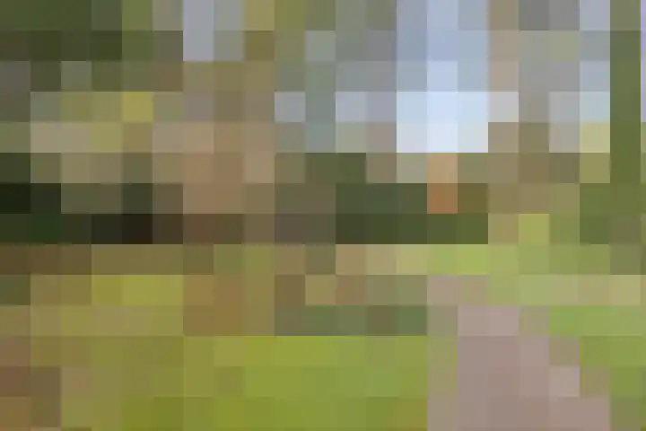 't Hertenspoor 134 Diever thumbnail 32