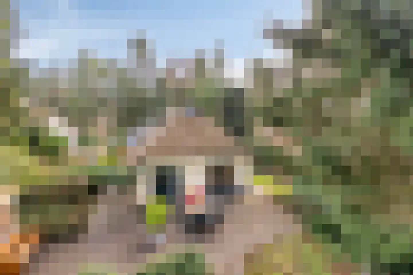 't Hertenspoor 134 Diever thumbnail 33
