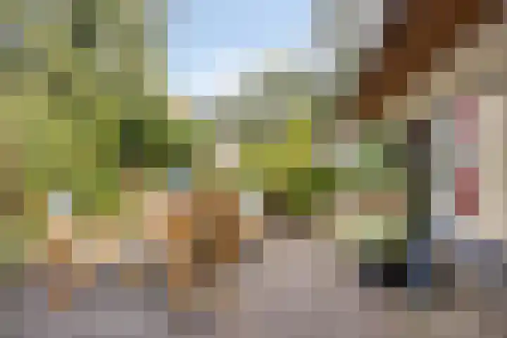 't Hertenspoor 134 Diever thumbnail 34