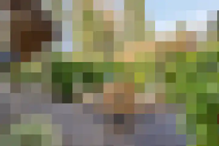 't Hertenspoor 134 Diever thumbnail 35