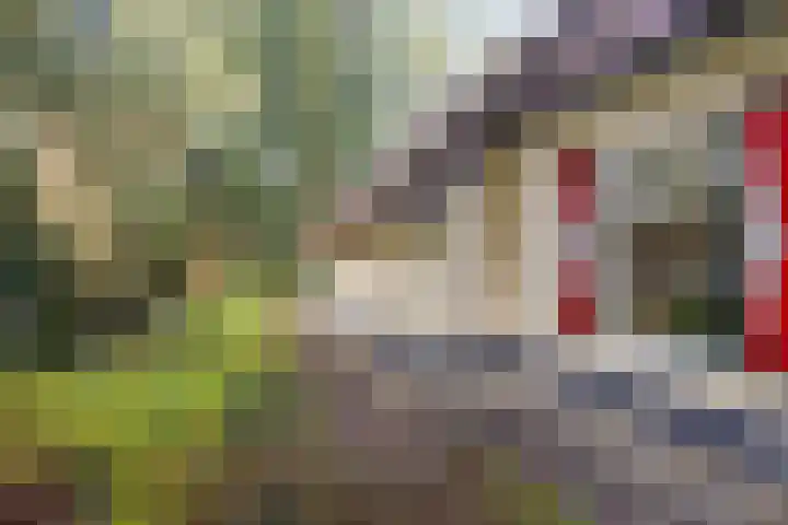 't Hertenspoor 134 Diever thumbnail 36
