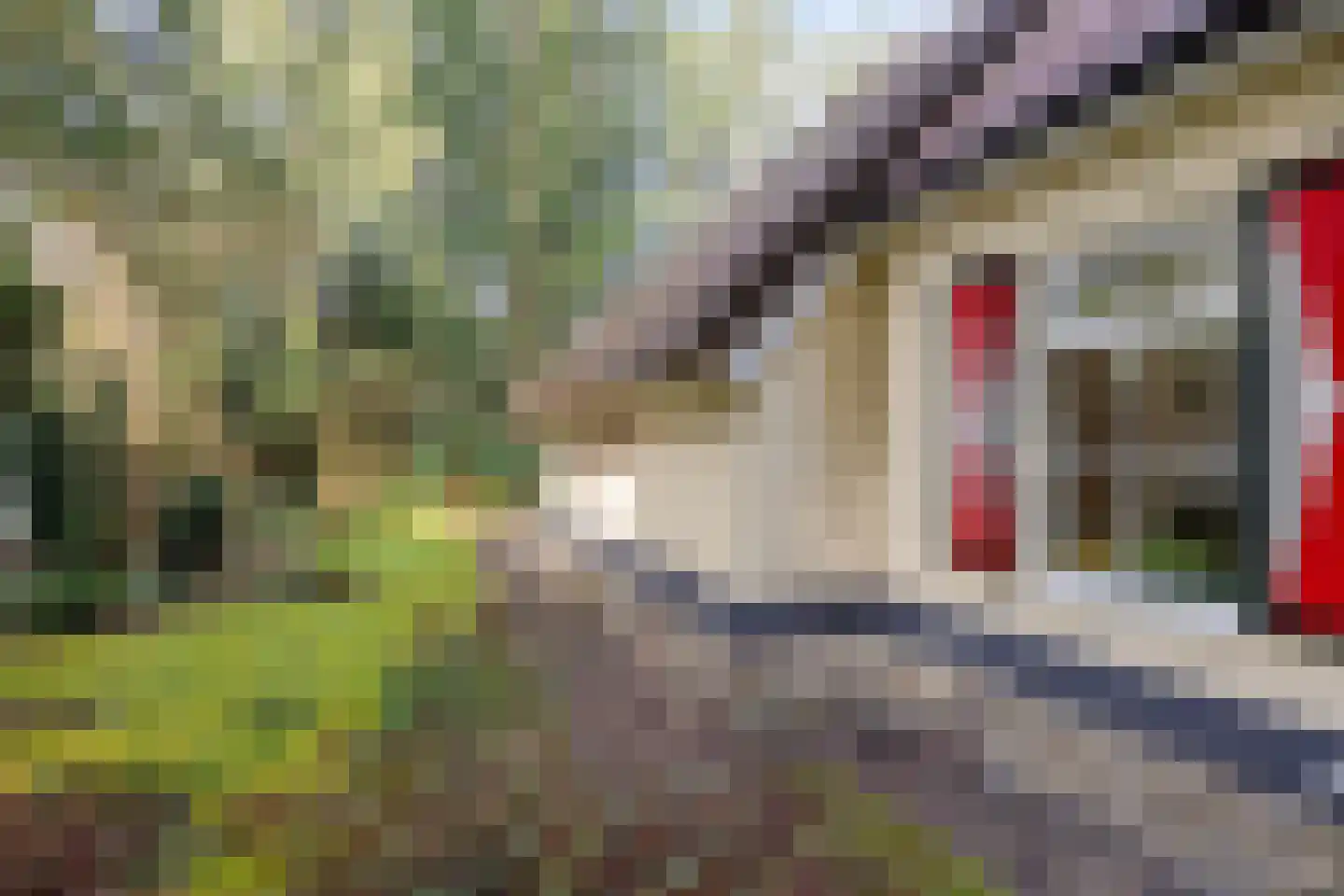 't Hertenspoor 134 Diever thumbnail 36