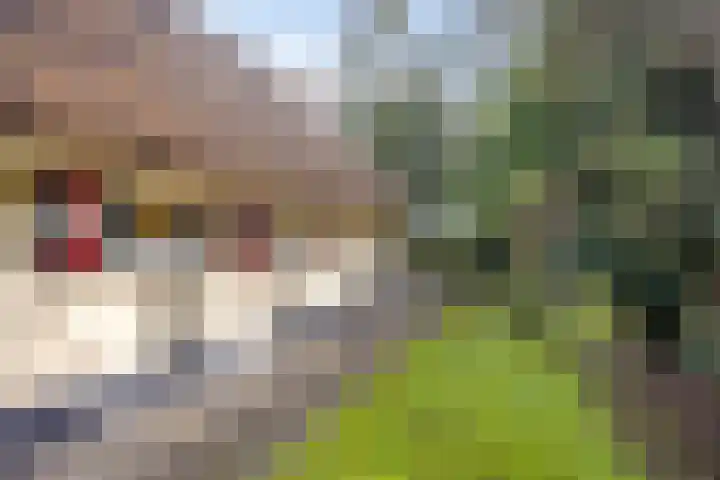 't Hertenspoor 134 Diever thumbnail 37