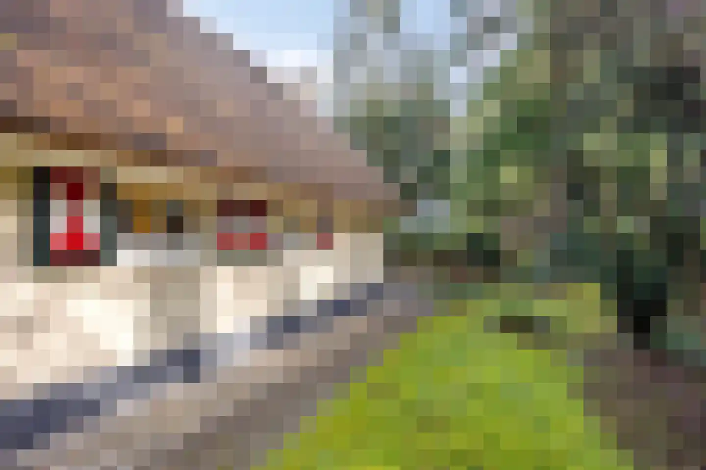 't Hertenspoor 134 Diever thumbnail 37