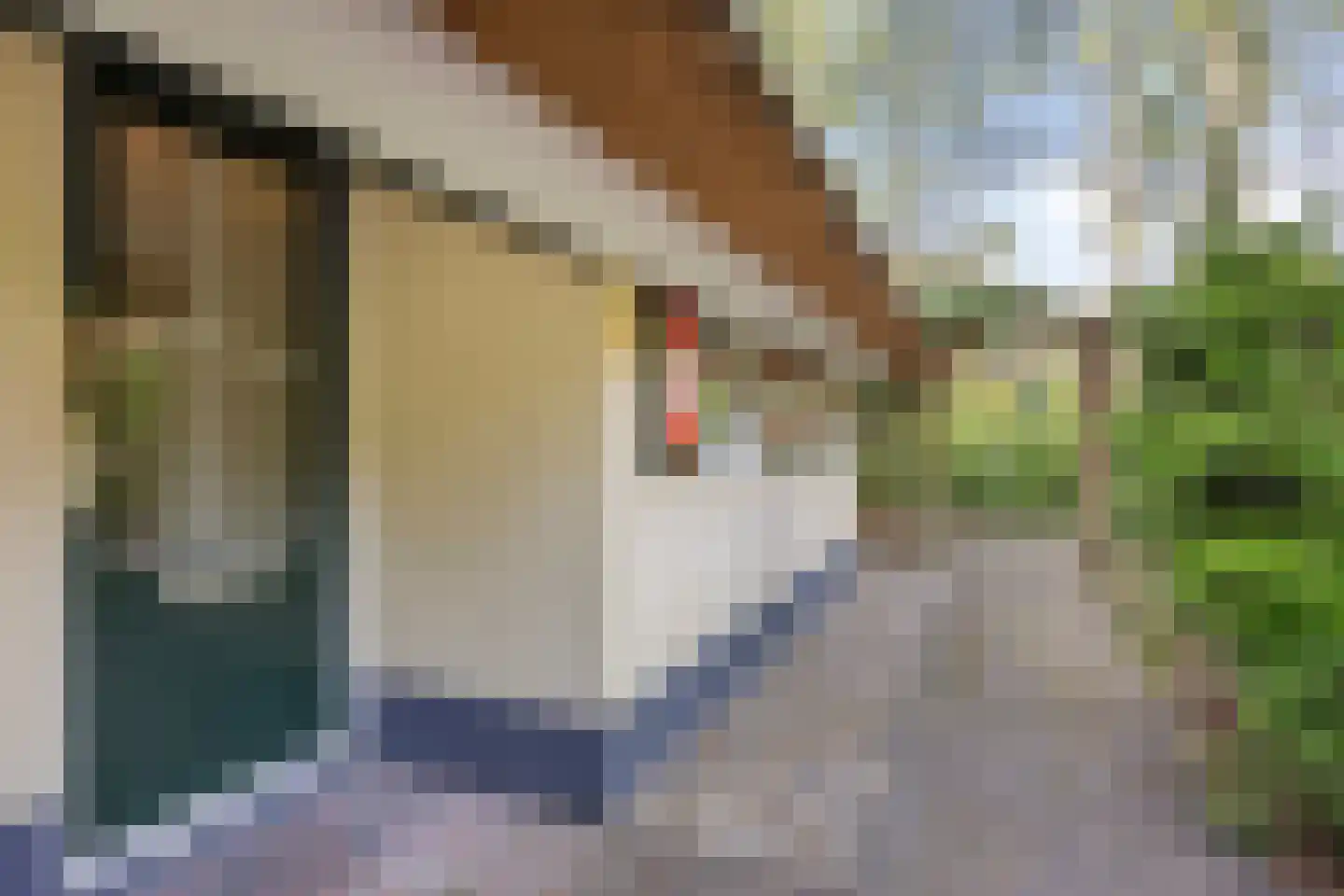 't Hertenspoor 134 Diever thumbnail 38