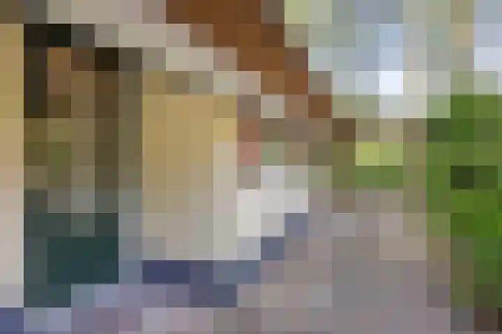 't Hertenspoor 134 Diever thumbnail 38