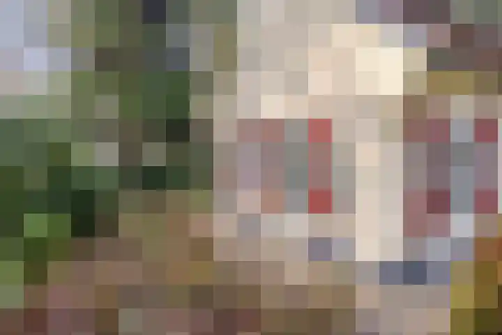 't Hertenspoor 134 Diever thumbnail 39