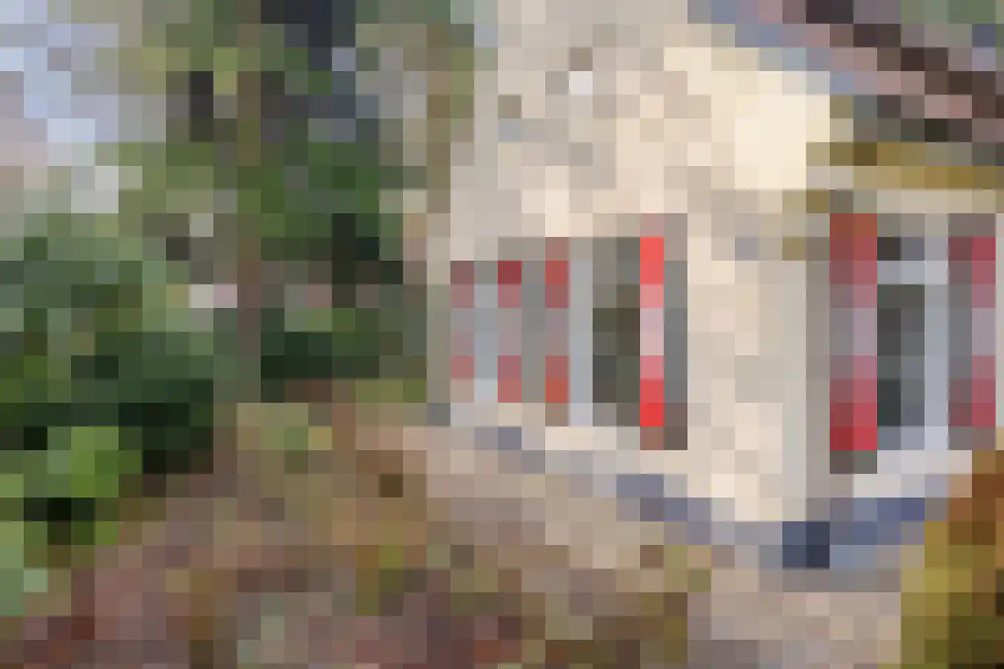 't Hertenspoor 134 Diever thumbnail 39