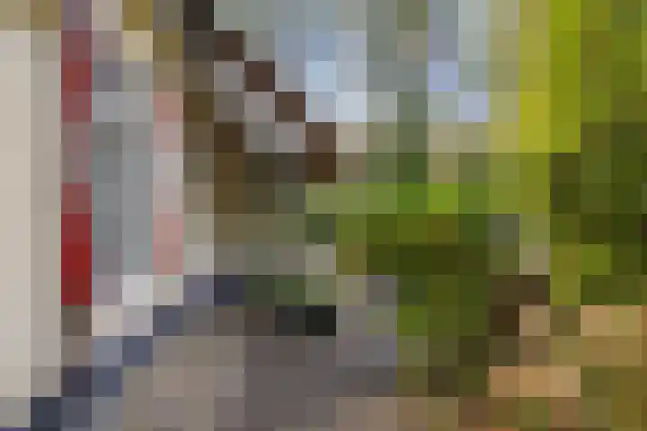 't Hertenspoor 134 Diever thumbnail 4