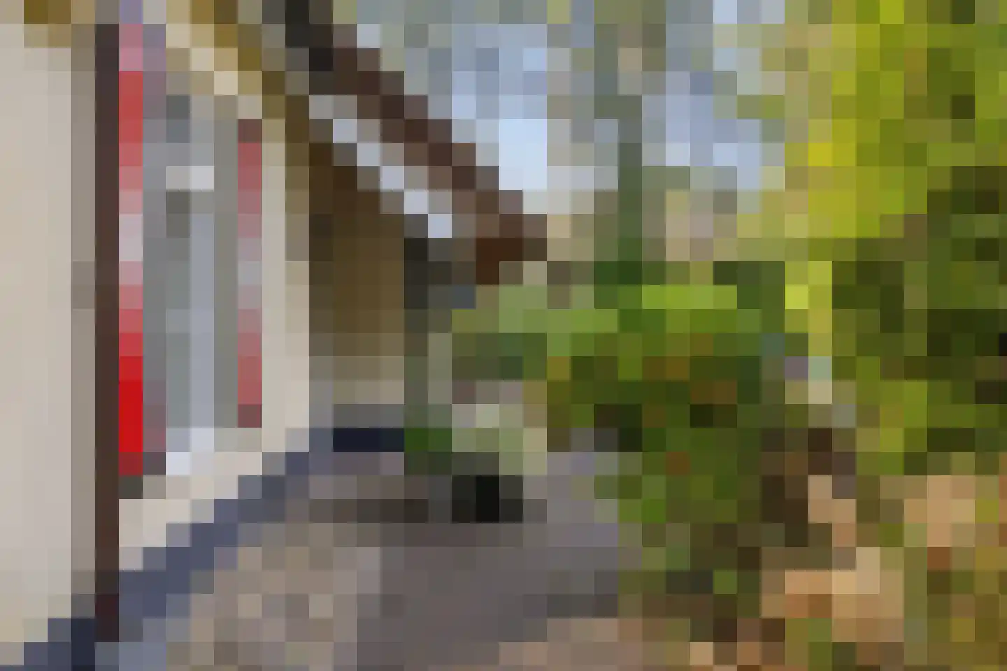 't Hertenspoor 134 Diever thumbnail 4
