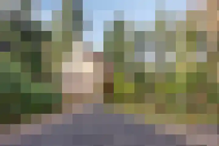 't Hertenspoor 134 Diever thumbnail 40