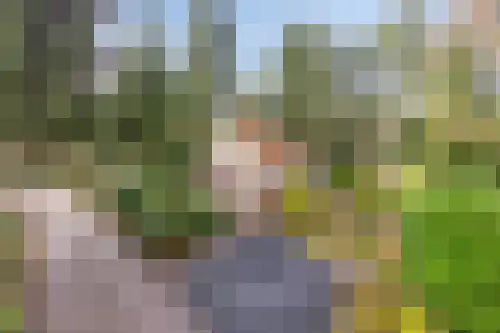 't Hertenspoor 134 Diever thumbnail 41