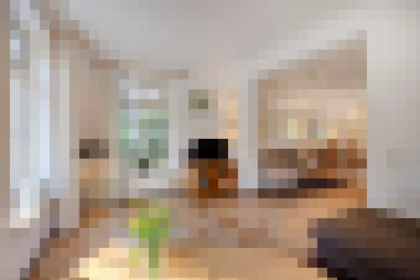 't Hertenspoor 134 Diever thumbnail 9