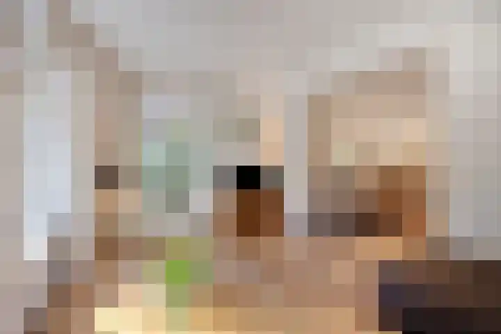 't Hertenspoor 134 Diever thumbnail 9