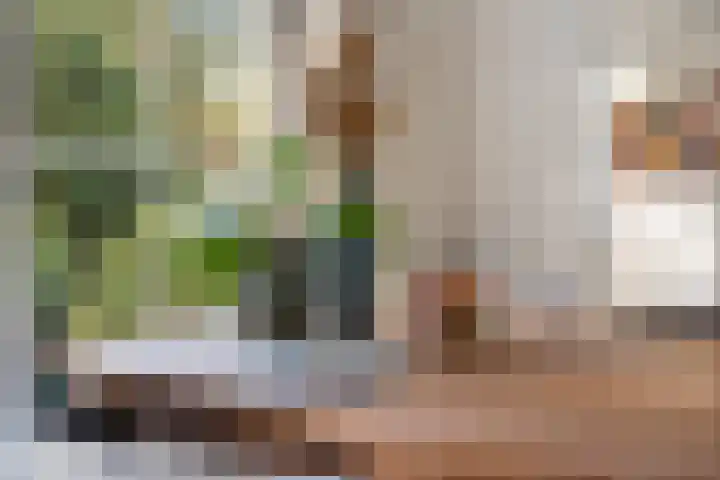 't Hertenspoor 135 Diever thumbnail 10