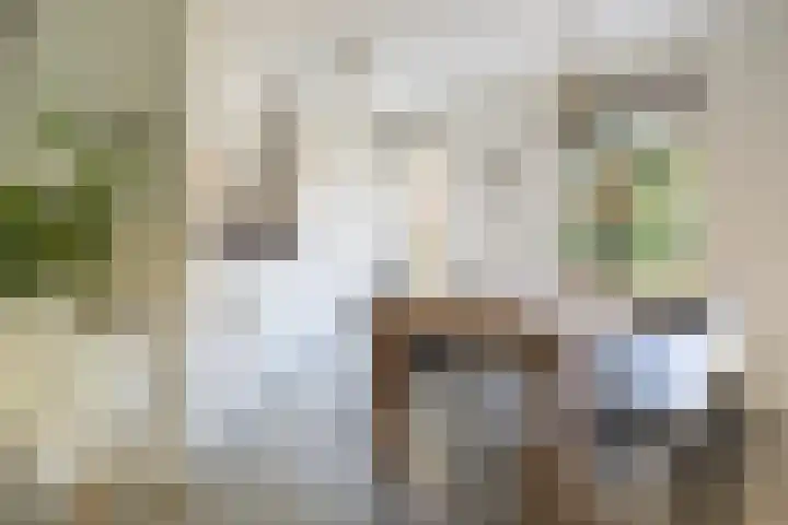 't Hertenspoor 135 Diever thumbnail 13