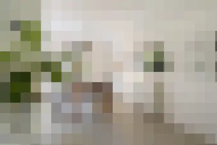 't Hertenspoor 135 Diever thumbnail 14