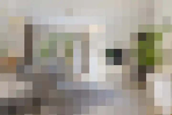 't Hertenspoor 135 Diever thumbnail 15
