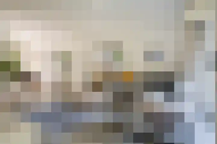 't Hertenspoor 135 Diever thumbnail 16